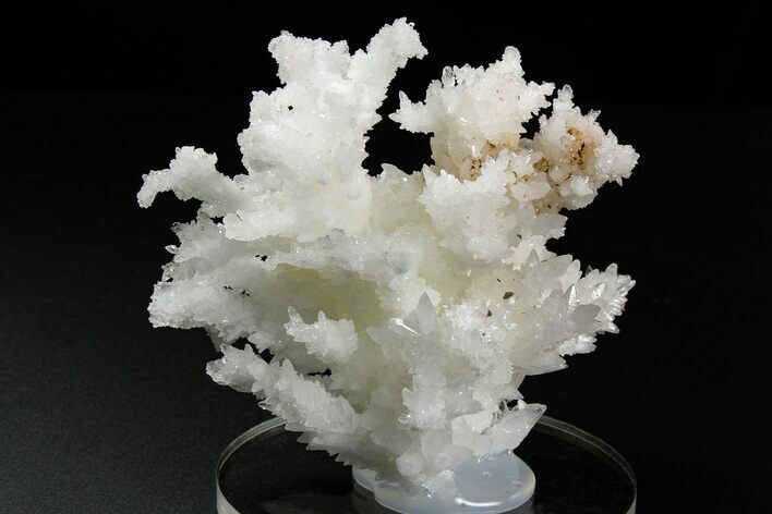 Sparkling Cave Calcite (Aragonite) Formation - Potosi Mine, Mexico #259385